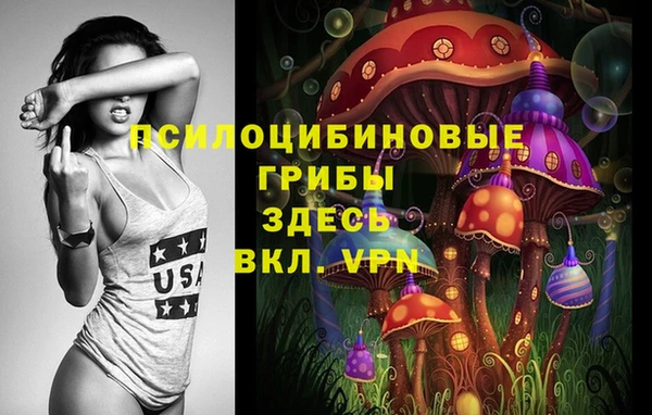 ECSTASY Алзамай