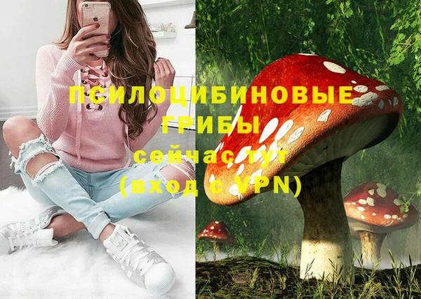 индика Алексин