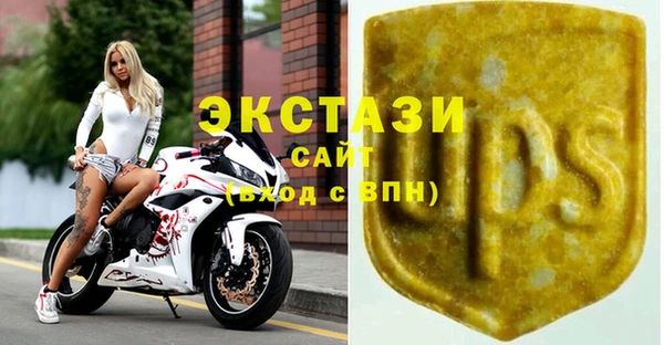 ECSTASY Алзамай