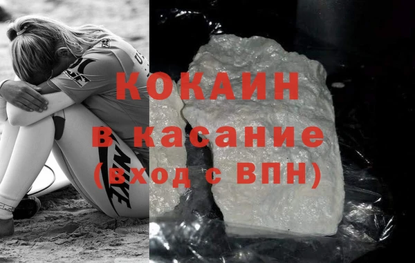 индика Алексин