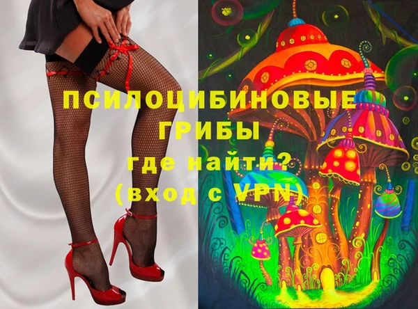 ECSTASY Алзамай