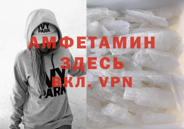 индика Алексин