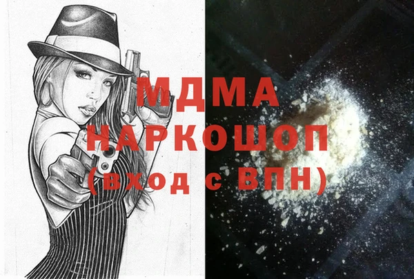 индика Алексин