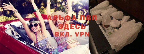 индика Алексин