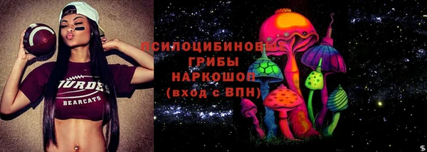 ECSTASY Алзамай