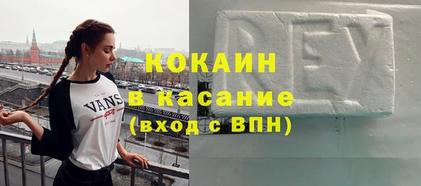 индика Алексин